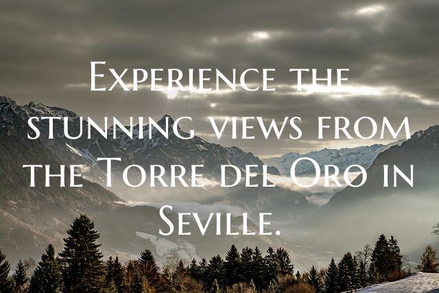 Experience the stunning views from the Torre del Oro in Seville.